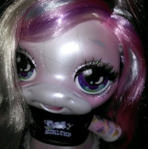 Meet your Posher, Ashley